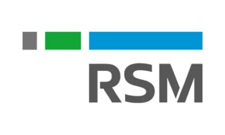 Auditoria RSM